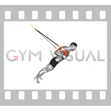 Suspender Close grip Chest Press (male)