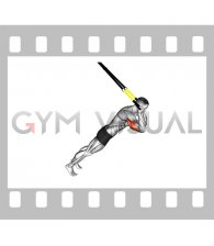 Suspender Triceps Extension (male)