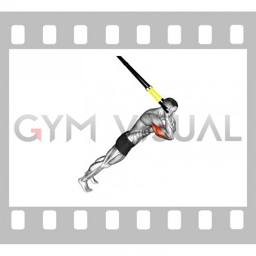 Suspender Triceps Extension (male)