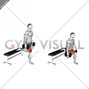 Dumbbell Single Leg Split Squat