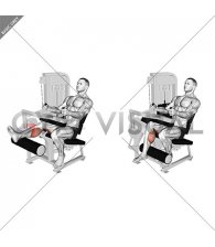 Lever Seated One Leg Curl