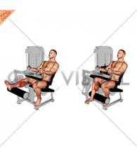 Lever Seated One Leg Curl