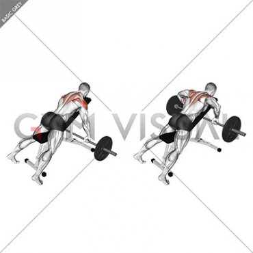 Barbell Incline Rear Delt Row