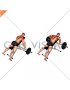 Barbell Incline Rear Delt Row