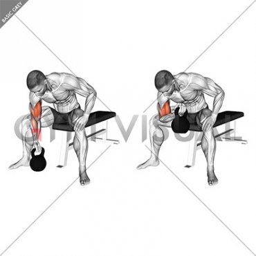 Kettlebell Concentration Curl