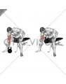 Kettlebell Concentration Curl
