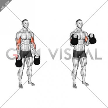 Kettlebell Biceps Curl