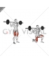 Barbell Rear Lunge