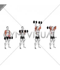 Dumbbell Curl Press Extension (male)