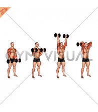Dumbbell Curl Press Extension (male)