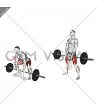 Barbell Weighted Chains Sumo Deadlift