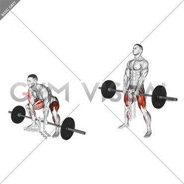 Barbell Weighted Chains Sumo Deadlift