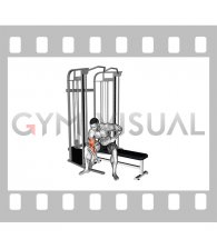 Cable Seated One Arm Concentration Curl