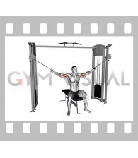 Cable Seated Overhead Curl