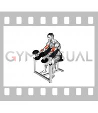 Dumbbell Hammer Preacher Curl