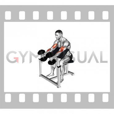 Dumbbell Hammer Preacher Curl