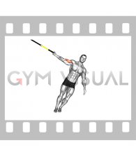 Suspender One Arm Biceps Curl (male)