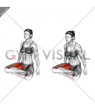 Double Pigeon Pose (female)