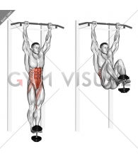 Weighted Hanging leg-hip raise