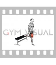 Band single leg split squat