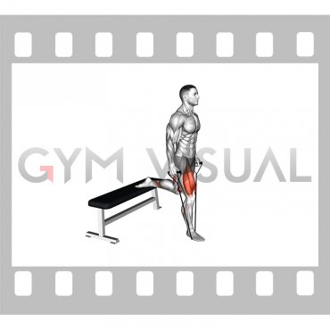 Band single leg split squat