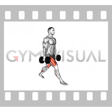 Dumbbell Split Squat