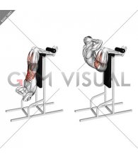 Vertical Sit-Up (male)
