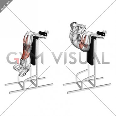 Vertical Sit-Up (male)