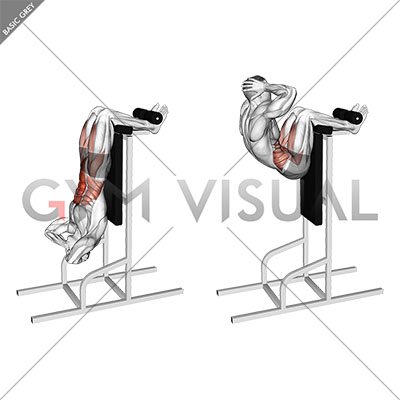 Vertical Sit Up male