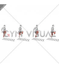 Plyometric Agility Drill (male)