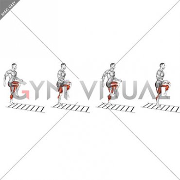 Plyometric Agility Drill (male)