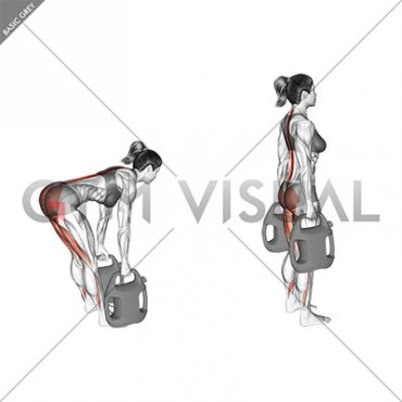 Bottle Weighted Straight Legs Deadlift (female)