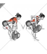 Bottle Weighted Bent Over Row (female)