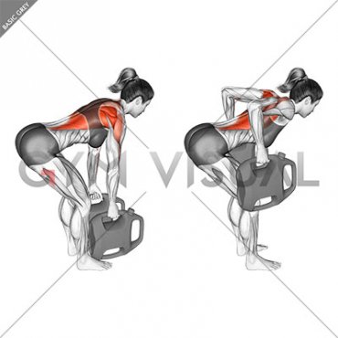 Bottle Weighted Bent Over Row (female)