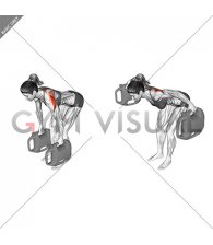 Bottle Weighted Bent Over Reverse Fly (female)