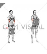Bottle Weighted Reverse Curl (female)