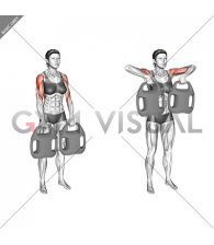 Bottle Weighted Upright Row (female)