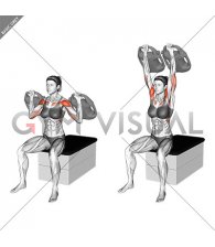 Bottle Weighted Shoulder Press (female)