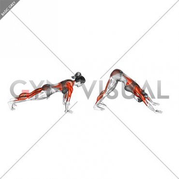 Downward Facing Dog (female)