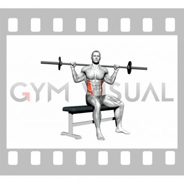 Barbell Seated Twist