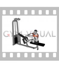 Cable Rear Delt Row