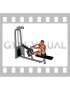 Cable Rear Delt Row