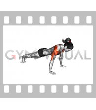 Hands Release Push-up (female)
