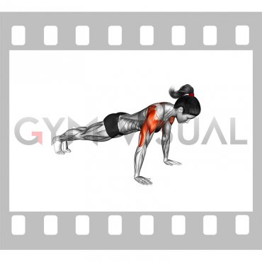 Hands Release Push-up (female)