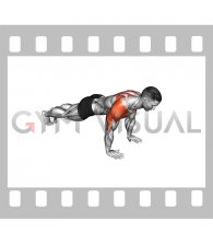 Lay Down Push-up (male)