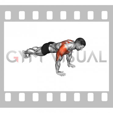 Lay Down Push-up (male)