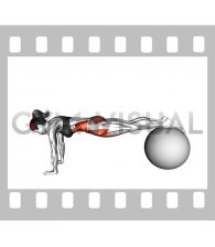 Pull In (on stability ball) (female)