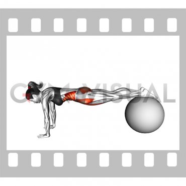 Pull In (on stability ball) (female)