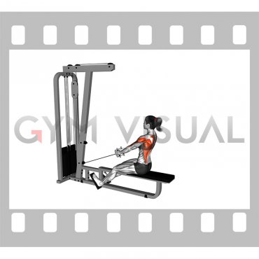 Cable Low Seated Row with V bar (female)