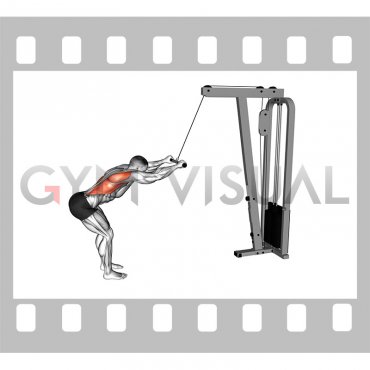 Cable Straight Arm Pulldown (VERSION 2)